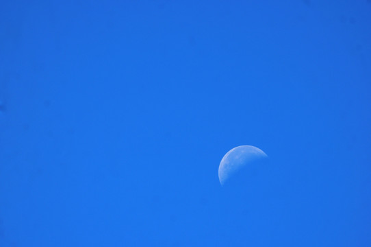 蓝蓝的月亮高挂天空