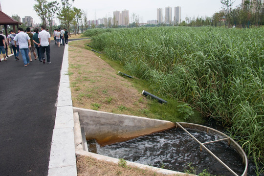 海绵城市工程