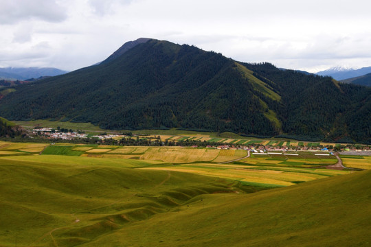 青海卓尔山风光
