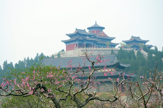 画意桃花