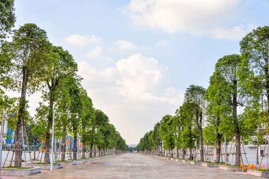公园景色
