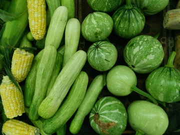 蔬菜 新鲜蔬菜 新鲜时蔬