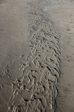 沙上的印迹