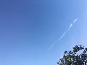 贪吃蛇云