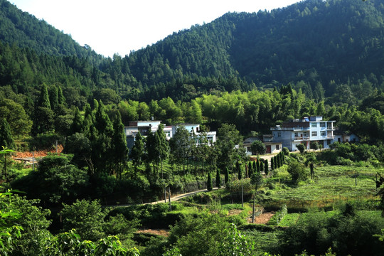 绿色小村 遥远的小山村 山水