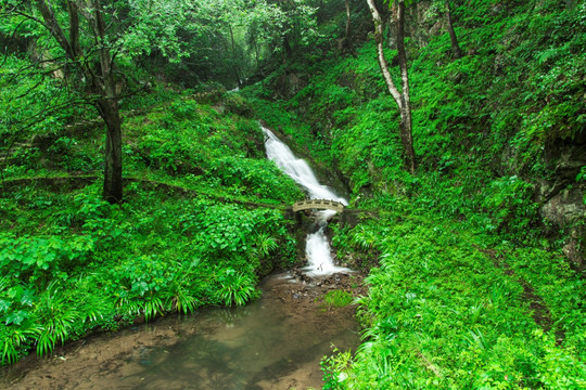 山间清流