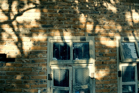 红砖墙旧门窗