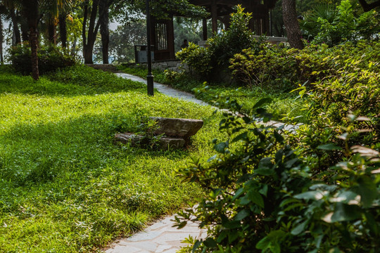 玄武湖风景