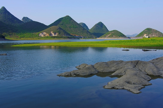 湿地 风景