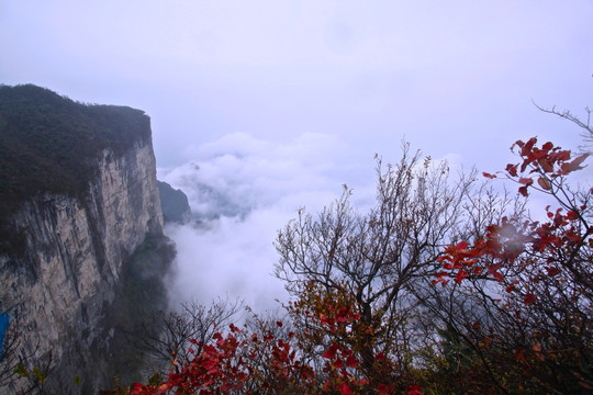 张家界天门风景