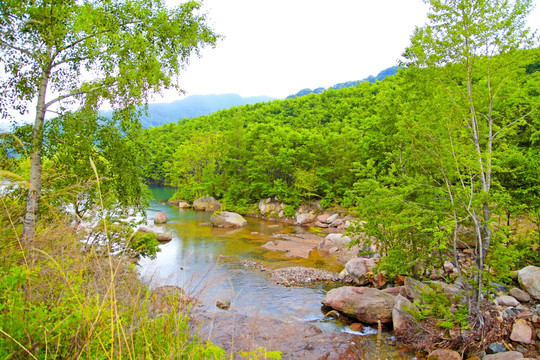 大山 小河 阳光森林