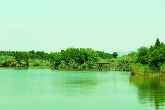 苏州 太湖 苏州旅游 湿地生态