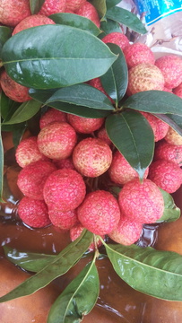 荔枝