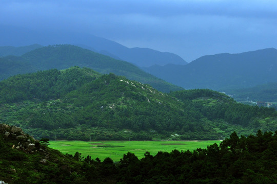 高山田野