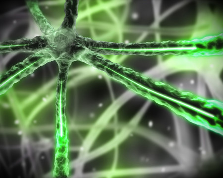 绿色显微神经系统