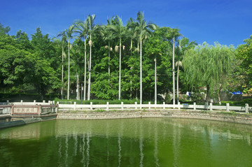 水边绿化景观