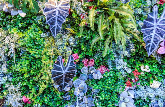绿色植物背景墙