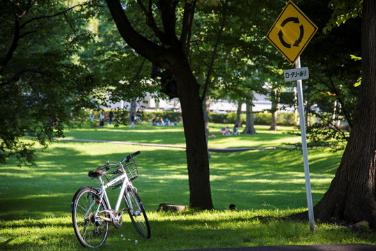 浪漫校园 草坪 路牌与自行车