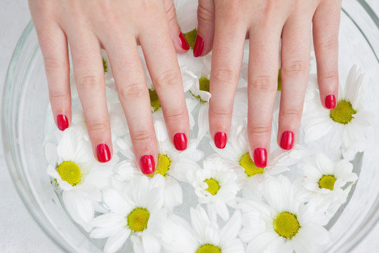 一碗鲜花上的涂着红色指甲的手