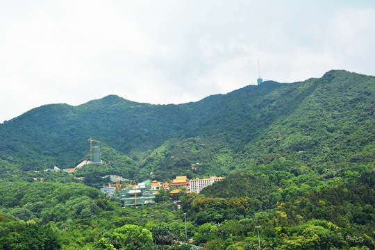 湿地公园 唯美风景