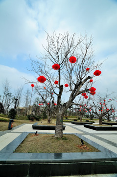 春节树木装饰