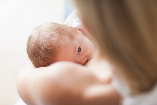 以上小新生儿得到母乳喂养的观点