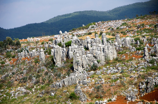 石林风景名胜区