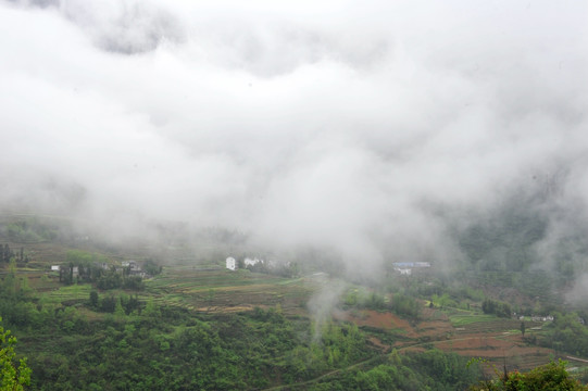 田园风景