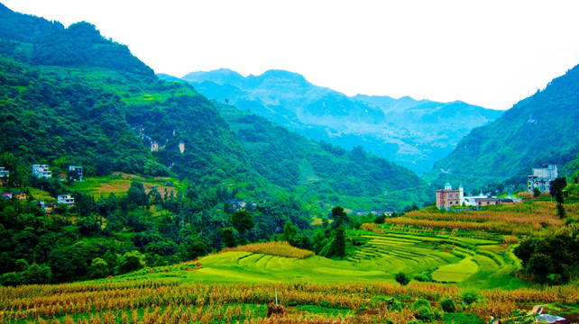 山村风光 山地