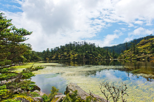 螺髻山天然湖泊