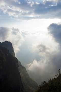 高山云雾