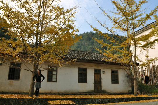 帽子峰林场