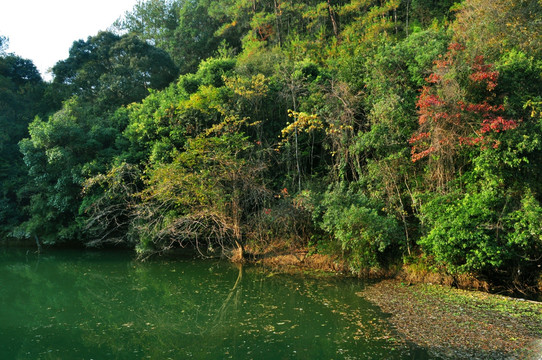 帽子峰林场