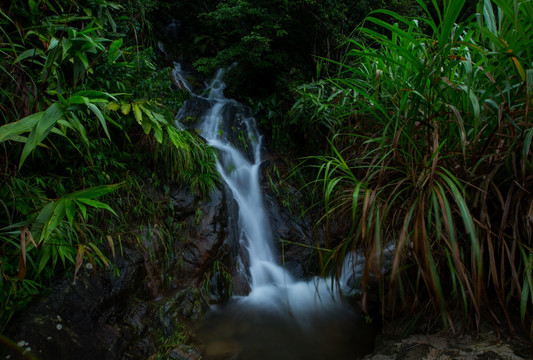山泉 溪水