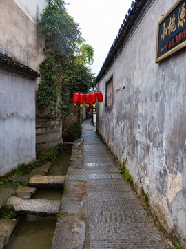 西递