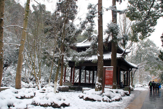 灵隐雪景