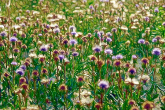 抽象花草