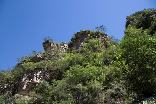 高山