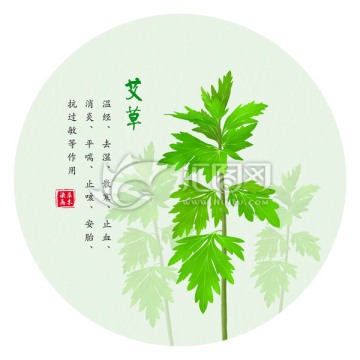 手绘艾草