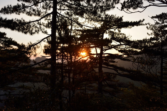 黄山日出