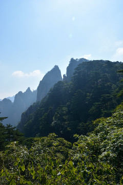 黄山风光