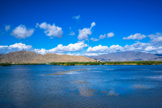 北疆风光 可可苏里湖