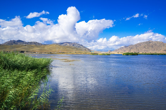北疆风光 可可苏里湖