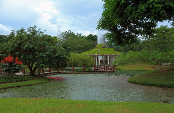 西双版纳 植物园