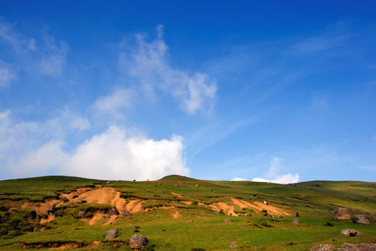 高山牧场