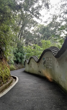 南平九峰山风光