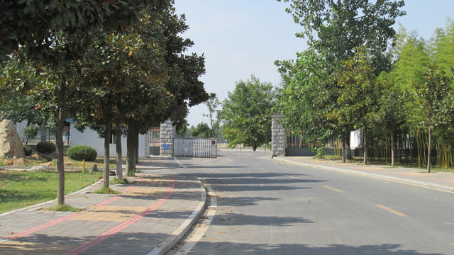 林间小路