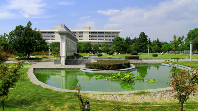 池塘