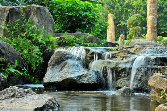 深圳仙湖植物园清水流水