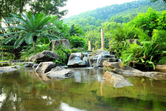 深圳仙湖植物园清水流水